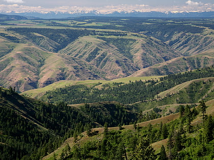 umatilla national forest