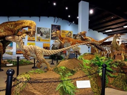 The Dinosaur Museum