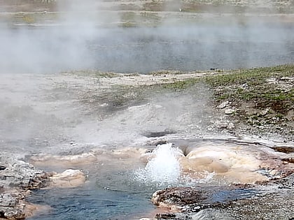 young hopeful geyser parque nacional de yellowstone