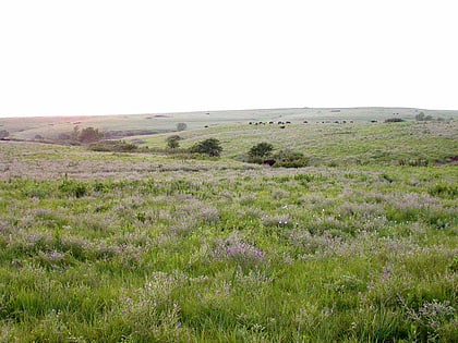 Konza Prairie Research Natural Area
