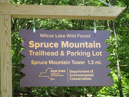 spruce mountain adirondack park