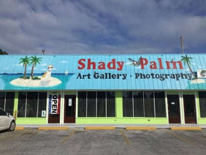 shady palm art gallery photography marathon