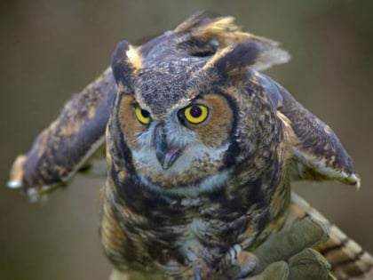 Sweetbriar Nature Center