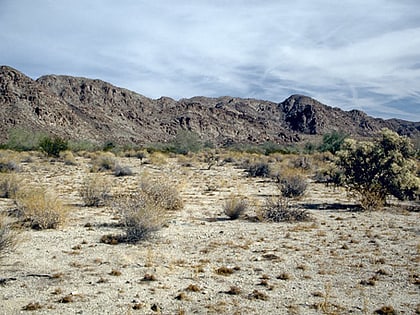 Desierto del Colorado