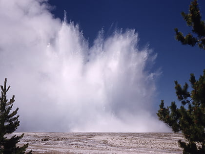 morning geyser parque nacional de yellowstone
