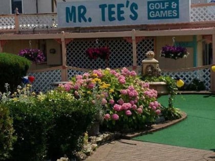 Mr. Tee's Arcade