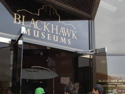 blackhawk museum danville