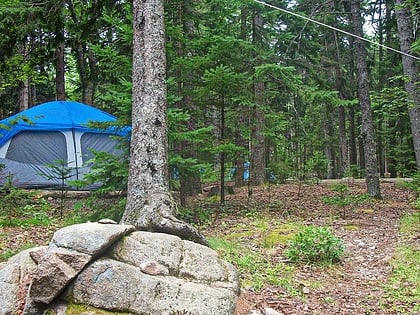 blackwoods campground acadia national park