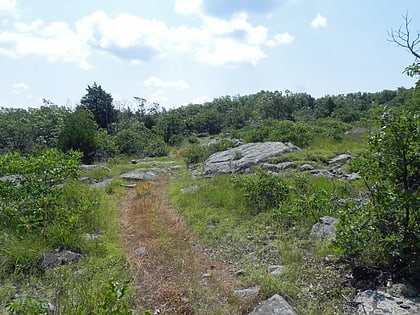 Buford Mountain Conservation Area