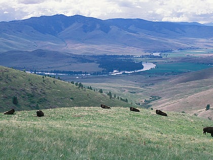 Prairies des vallées et des contreforts du Montana