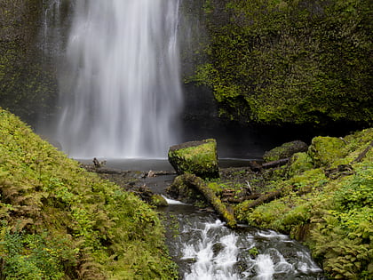 mount hood national forest