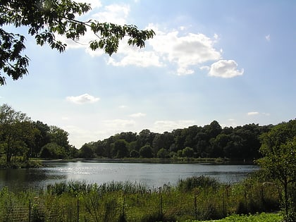 Kissena Park