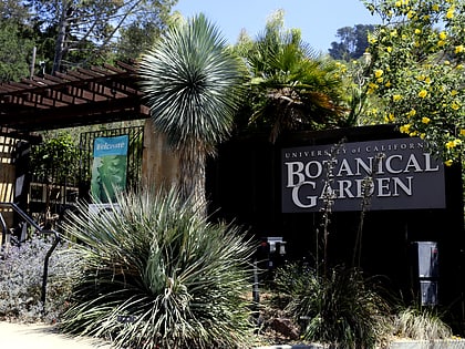 jardin botanico de la universidad de california en berkeley oakland
