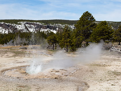 Bulger Geyser