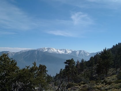 montagnes de san bernardino san gorgonio wilderness