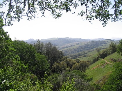 monte bello open space preserve palo alto