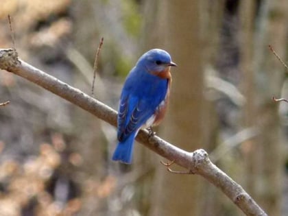 Cincinnati Nature Center