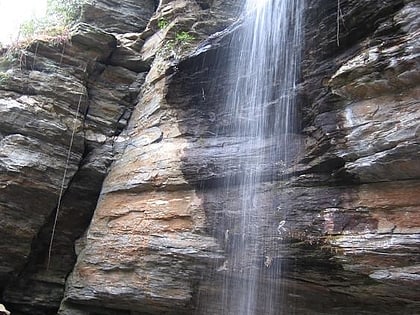 moore cove falls pisgah national forest