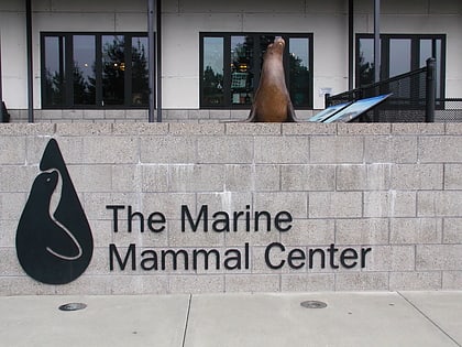 the marine mammal center sausalito