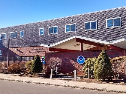 Woods Hole Science Aquarium