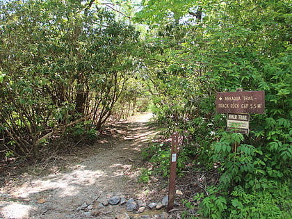 Arkaquah Trail