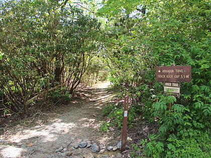 arkaquah trail brasstown wilderness