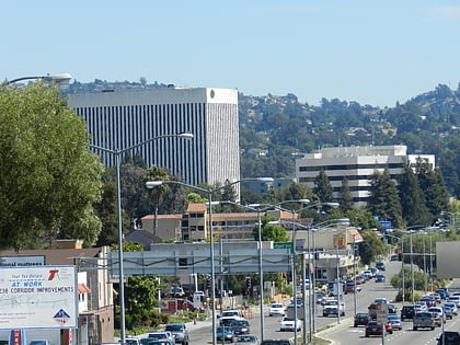 downtown hayward