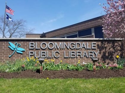 bloomingdale public library