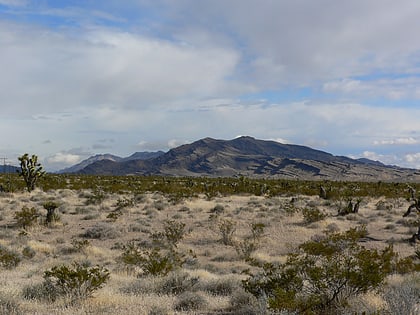 arrow canyon wilderness