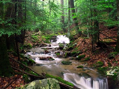 Holly River State Park