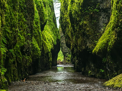 gorge oneonta cascade locks