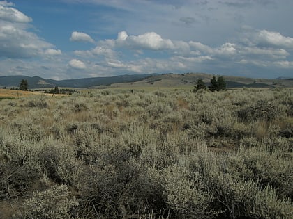 sapphire mountains beaverhead deerlodge national forest