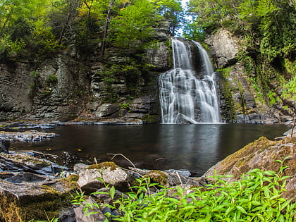 Bushkill Falls