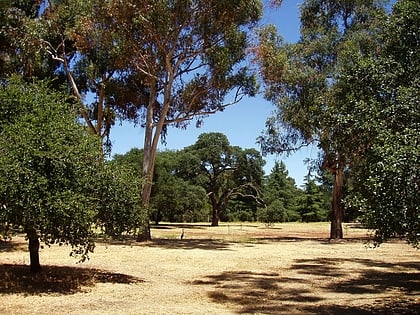 Arboreto de la Universidad de Stanford