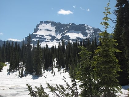 mount custer glacier nationalpark