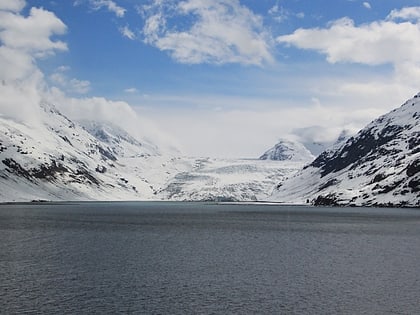 reid glacier parque nacional y reserva de la bahia de los glaciares