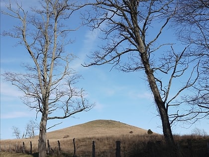 trimble knob monterey