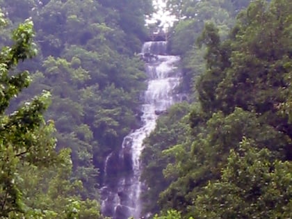 Park Stanowy Amicalola Falls