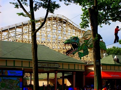 dragon coaster rye