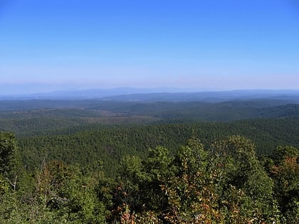 ouachita national forest