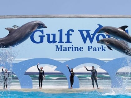 Gulf World Marine Park