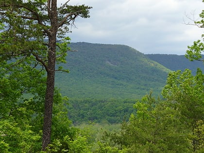 park stanowy shenandoah river raymond r andy guest jr bentonville