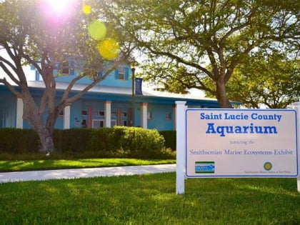 st lucie county aquarium featuring the smithsonian marine ecosystems exhibit fort pierce