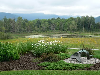 field farm williamstown