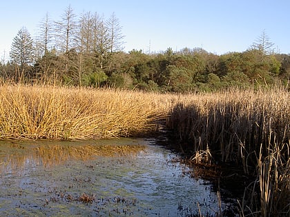 ledson marsh park stanowy annadel