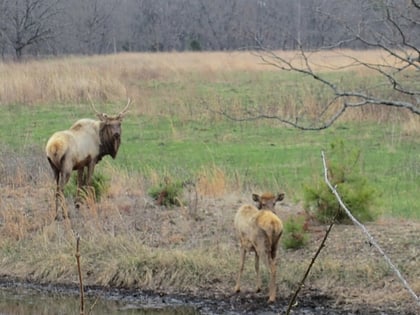 j t nickel family nature and wildlife preserve park stanowy cherokee