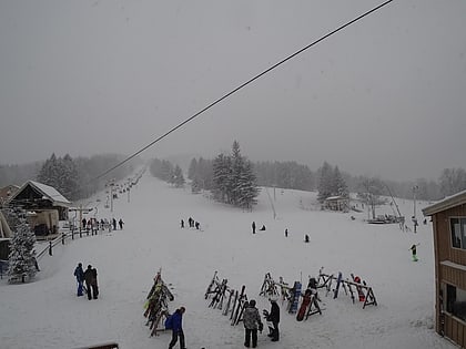 Bousquet Ski Area