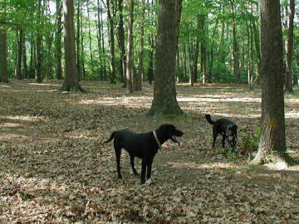 Oakwood Dog Park