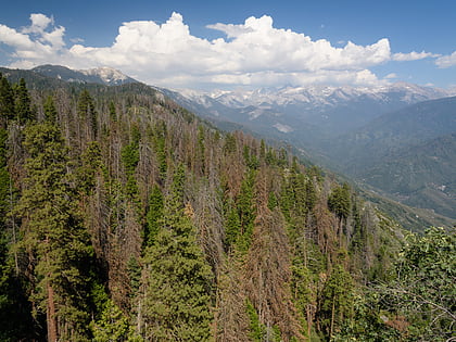 sequoia and kings canyon national parks