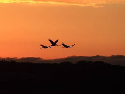 Aransas Bay Birding Charters